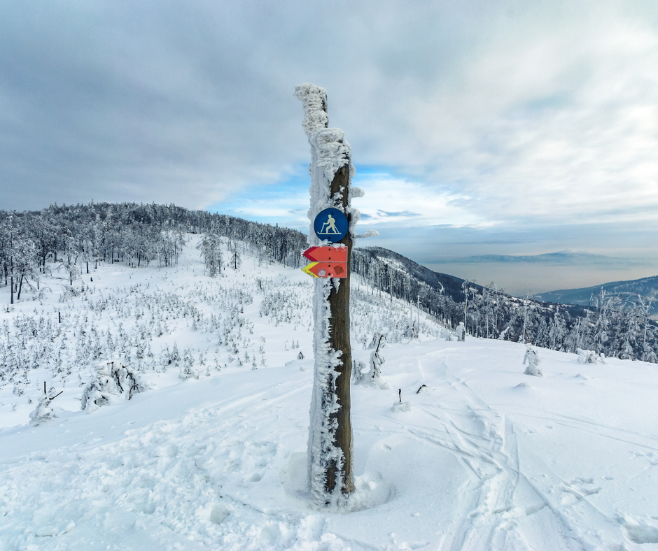 Горнолыжный отдых в Катовице