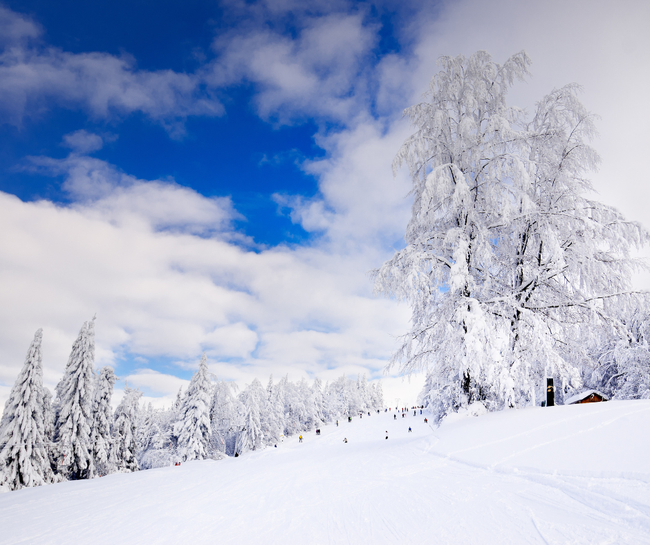 Как добраться до горнолыжного курорта Ошчадница